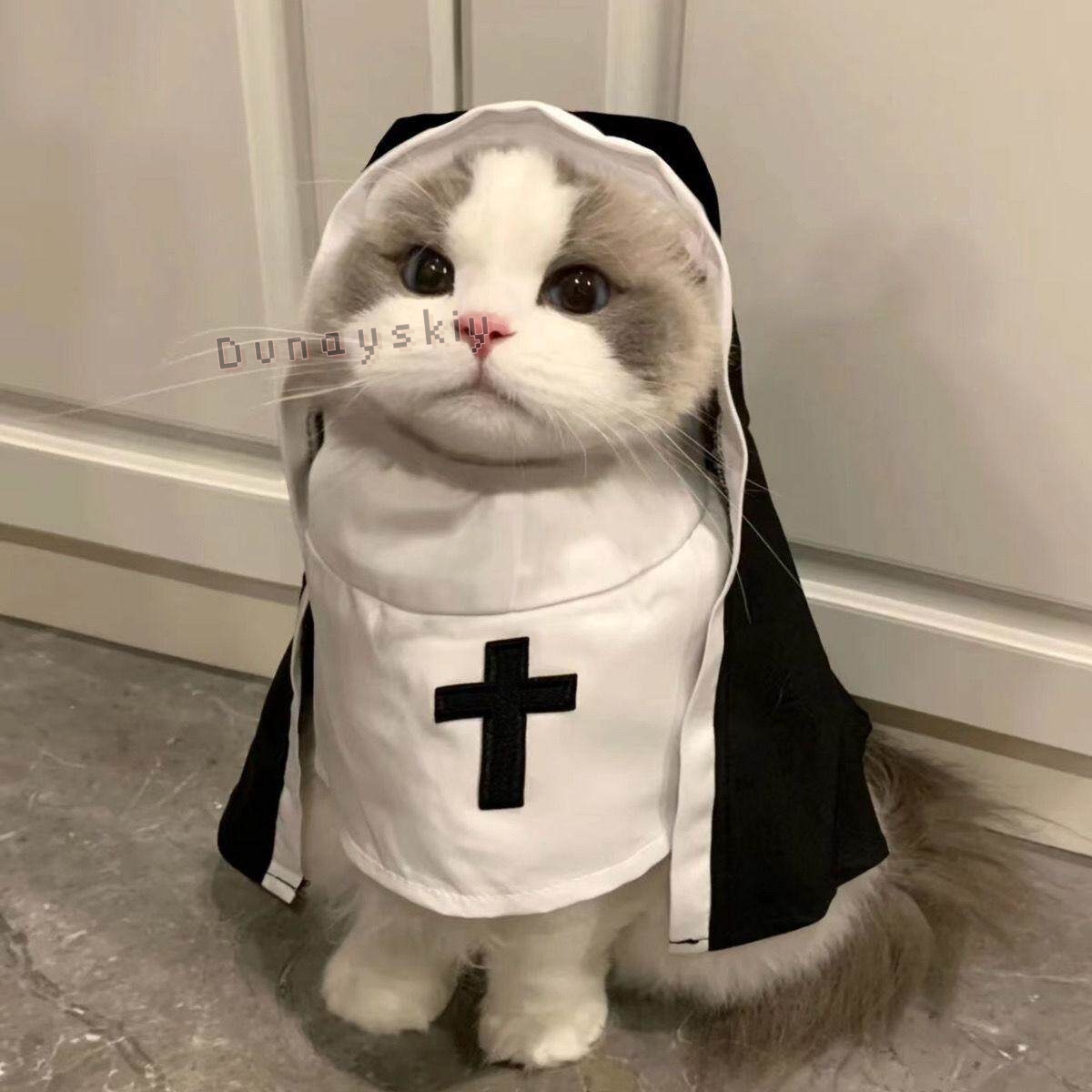 Christmas Pet Dog Cat Cosplay  - đánh giá và giá Anime Cosplay Nun