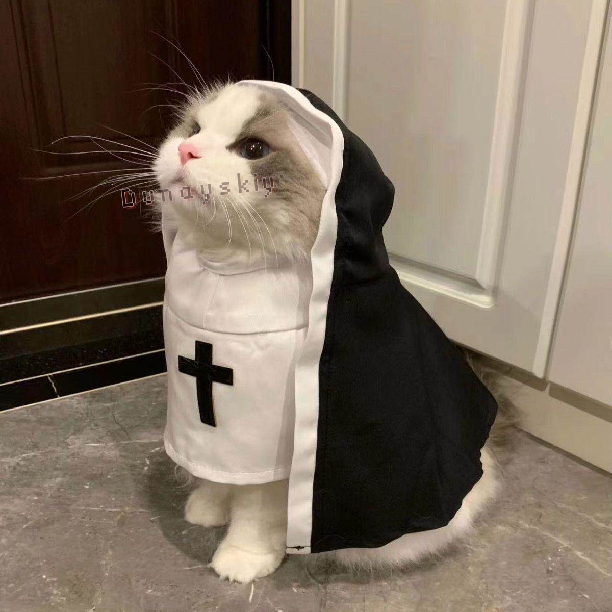 Christmas Pet Dog Cat Cosplay  - đánh giá và giá Anime Cosplay Nun