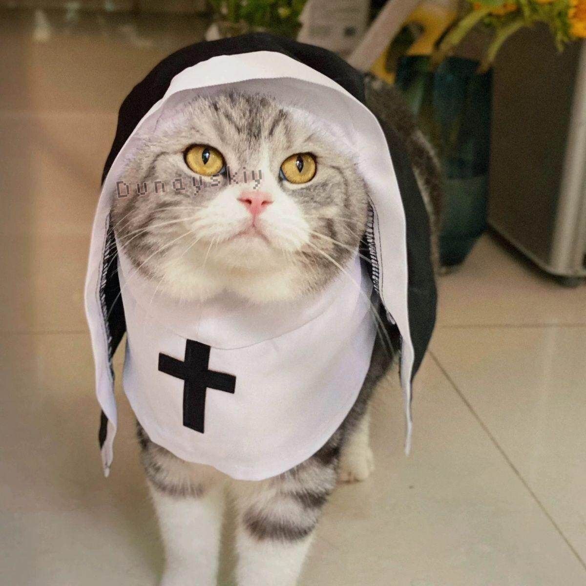 Christmas Pet Dog Cat Cosplay  - đánh giá và giá Anime Cosplay Nun